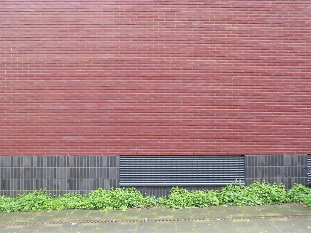 Flood protection - flood vent